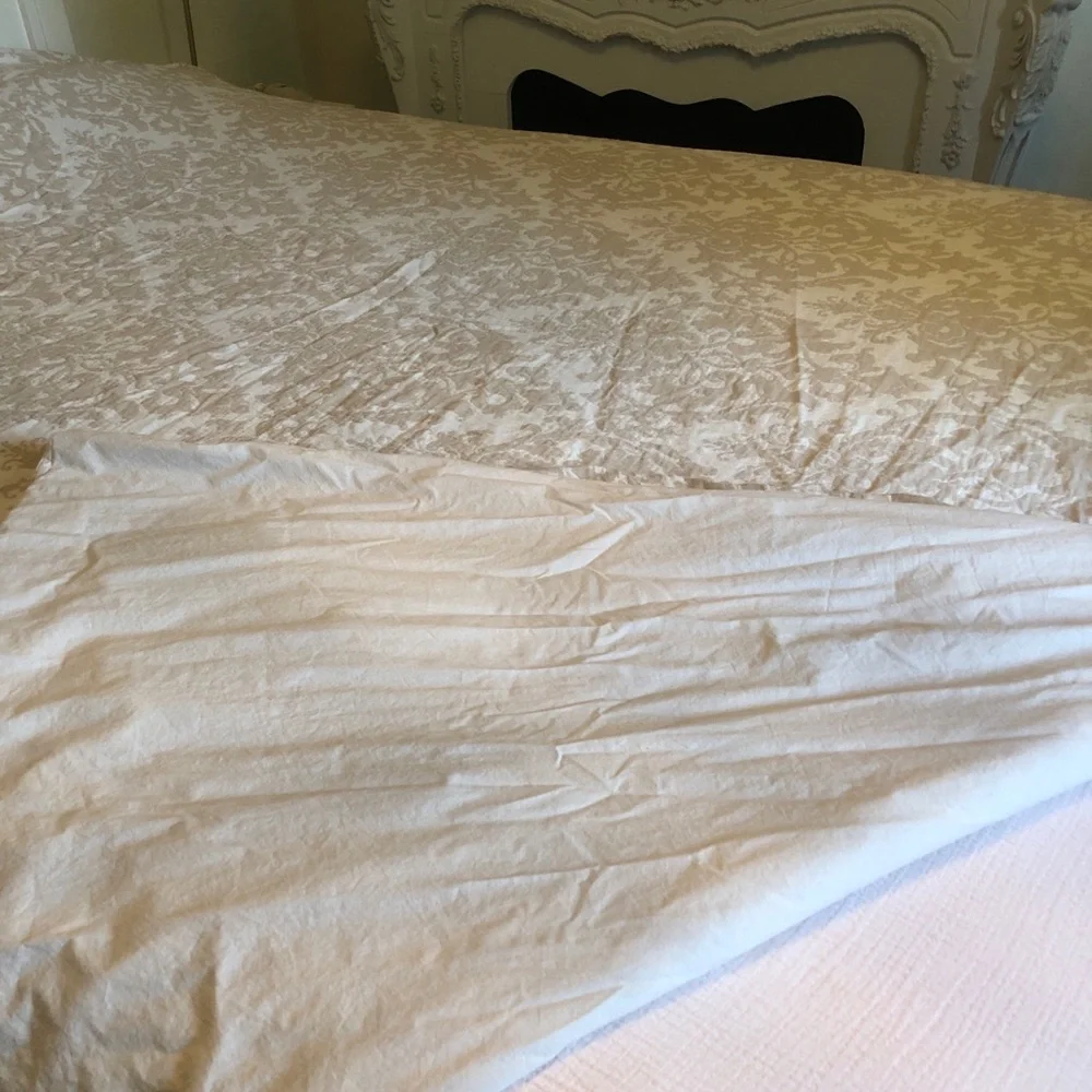 Pottery Barn Sorrel Toile Jacquard Duvet Cover Full Queen in Flax READ